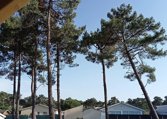 Santa Monta * Montalivet-les-Bains